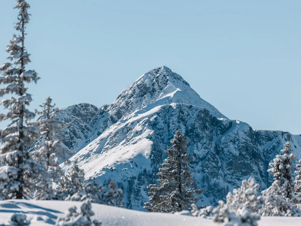 Winterurlaub beim Forstauerwirt Verschneiter Berggipfel hinter schneebedeckten Tannen vor blauem Himmel